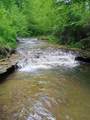 495 Clear Fork Branch Road - Photo 1