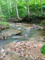 495 Clear Fork Branch Road - Photo 2