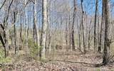 495 Clear Fork Branch Road - Photo 3