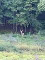 1709 State Hwy - Photo 4