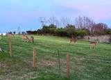 1453 Normans Camp Road - Photo 30