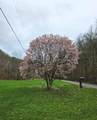 2246 Asa Creek Road - Photo 10