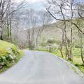 875 Mcneil-Corn Creek Road - Photo 30