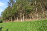 3602 Wagersville Road - Photo 5