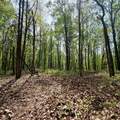 1271A Tunnel Ridge Rd - Photo 79