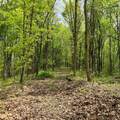 1271A Tunnel Ridge Rd - Photo 83
