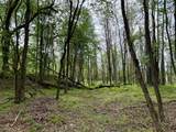 1271A Tunnel Ridge Rd - Photo 84