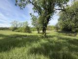 Tract 1 Colston Lane - Photo 3
