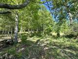 1170 Doe Creek Road - Photo 38