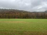 1037 Big Salt Lick Creek Road - Photo 6