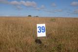 68-Lot Bull Run - Photo 23