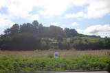 56     Lot 50 Dove Lane - Photo 16