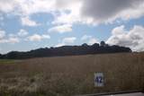 56     Lot 50 Dove Lane - Photo 30