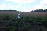 56     Lot 50 Dove Lane - Photo 44