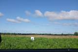 56-Lot Dove Lane - Photo 39