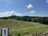 Tract 1 Pittsburg Landing Road - Photo 19