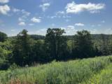 Tract 3 Pittsburg Landing Road - Photo 11