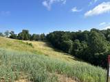 Tract 3 Pittsburg Landing Road - Photo 16