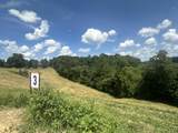Tract 3 Pittsburg Landing Road - Photo 4