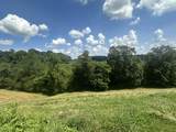 Tract 3 Pittsburg Landing Road - Photo 5