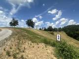 Tract 3 Pittsburg Landing Road - Photo 6