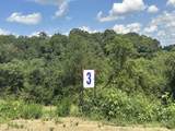 Tract 3 Pittsburg Landing Road - Photo 7