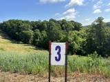 Tract 3 Pittsburg Landing Road - Photo 9
