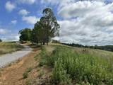 Tract 14 Eagle Landing Road - Photo 9