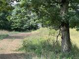 Tract 16 Pittsburg Landing Road - Photo 11