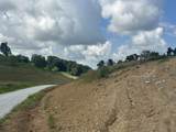Tract 26 Pittsburg Landing Road - Photo 20