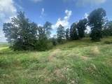 Tract 26 Pittsburg Landing Road - Photo 24