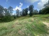 Tract 26 Pittsburg Landing Road - Photo 25