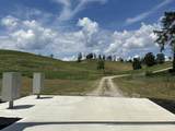 Tract 30 Pittsburg Landing Road - Photo 3