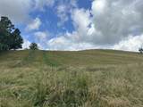 Tract 30 Pittsburg Landing Road - Photo 7