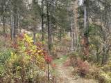 lot 5 Baldwin Road - Photo 8