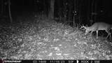 11 Williams Creek - Photo 43