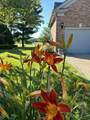 1437 Sugar Maple Court - Photo 62