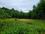 279 Mike Mcwhorter Road - Photo 30
