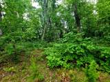 279 Mike Mcwhorter Road - Photo 42