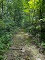 2565 Sugar Creek Road - Photo 93
