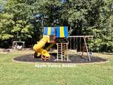145 State Park Road - Photo 50