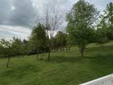 1037 High Rock Road - Photo 8