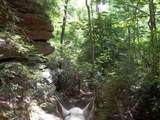 9999 Hales Fork Road - Photo 2