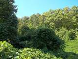 9999 Hales Fork Road - Photo 38
