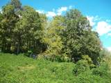 9999 Hales Fork Road - Photo 39