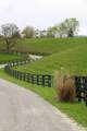 1332 Paris Road - Photo 63