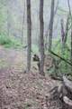 0 Routt Road - Photo 11