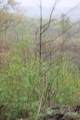 0 Routt Road - Photo 12