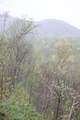 0 Routt Road - Photo 13