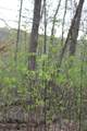 0 Routt Road - Photo 7